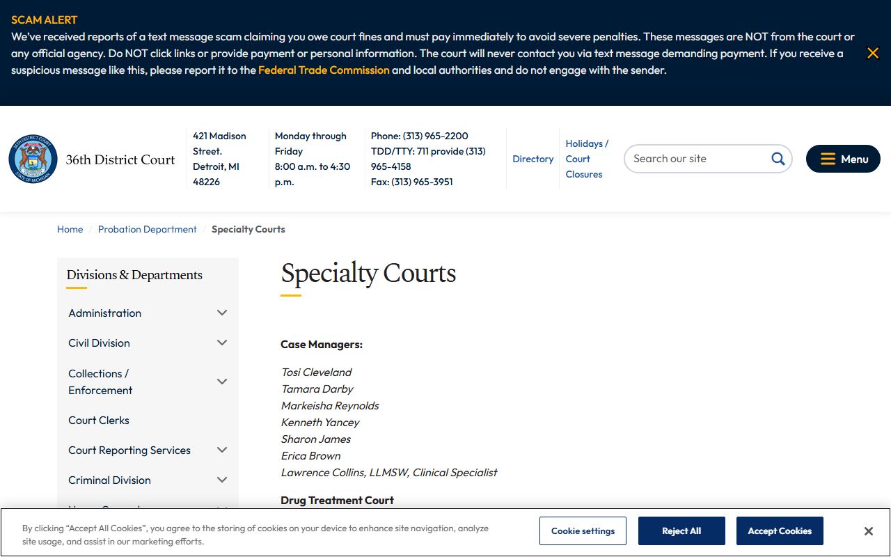 36th District Court specialty and probation programs serving Wayne County courts