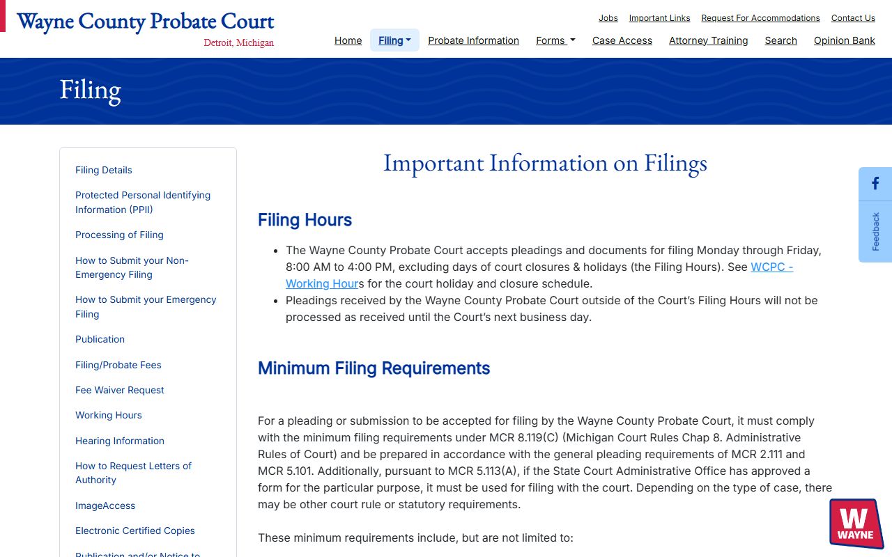 Wayne County probate filing instructions page with delivery channels and PPII rules